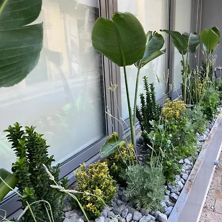 Artemis 1 Bdr Down Town *